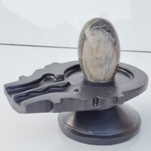 unique narmadeshwar shivling